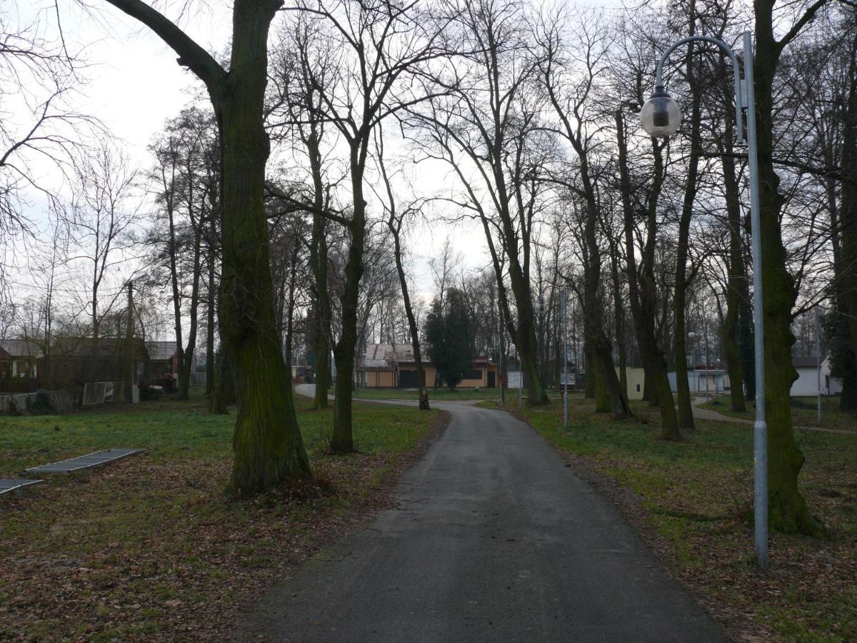 Domek nad jeziorem Osieczna Zewnętrze zdjęcie